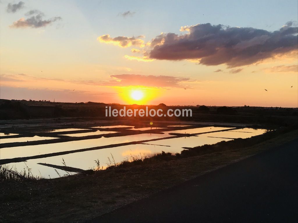 Photo 45: An accomodation located in Ars en R&eacute; on ile de R&eacute;.