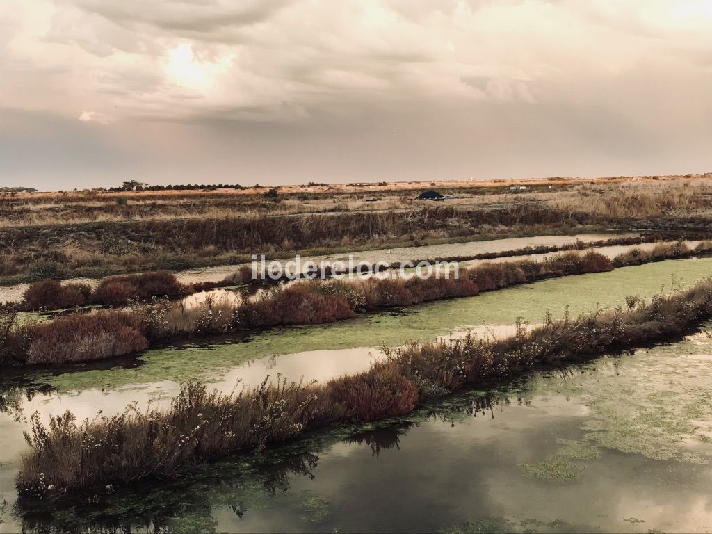 Photo 46: An accomodation located in Ars en R&eacute; on ile de R&eacute;.