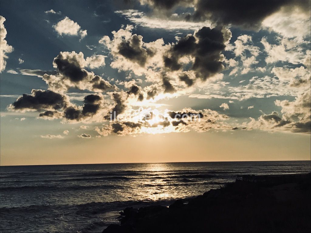Photo 47: An accomodation located in Ars en R&eacute; on ile de R&eacute;.