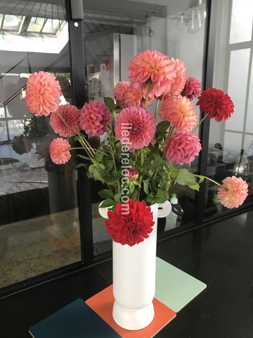 Photo 43: An accomodation located in Ars en R&eacute; on ile de R&eacute;.