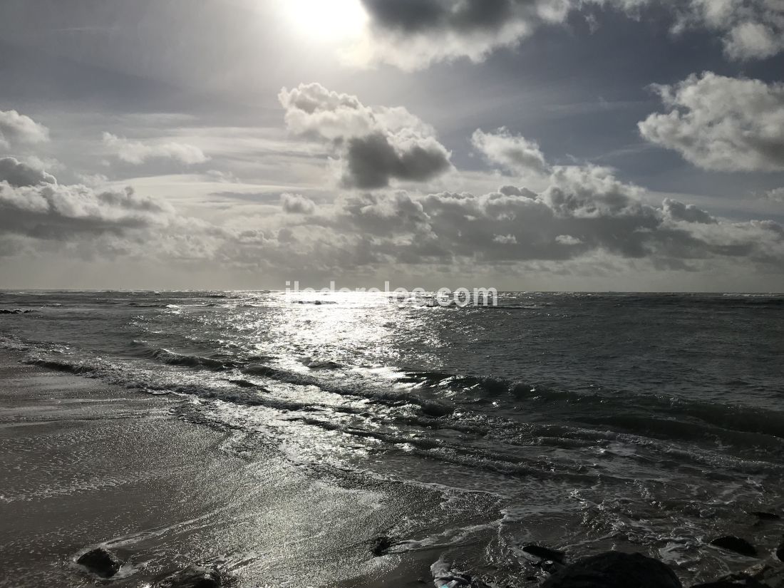 Photo 44: An accomodation located in Ars en R&eacute; on ile de R&eacute;.