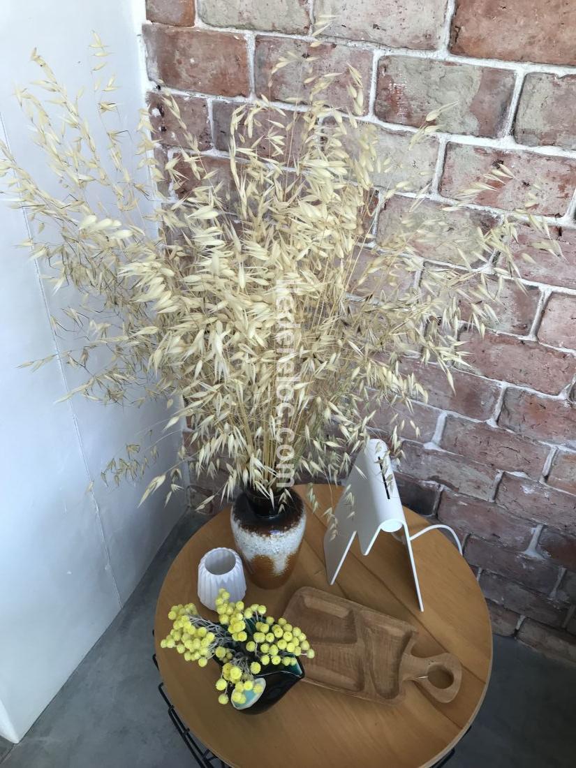 Photo 42: An accomodation located in Ars en R&eacute; on ile de R&eacute;.