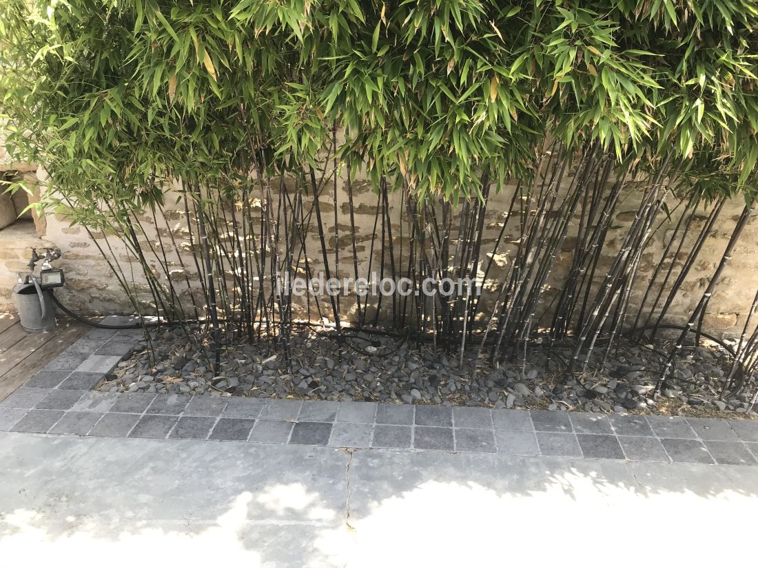 Photo 32: An accomodation located in Ars en R&eacute; on ile de R&eacute;.