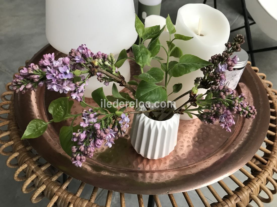 Photo 41: An accomodation located in Ars en R&eacute; on ile de R&eacute;.