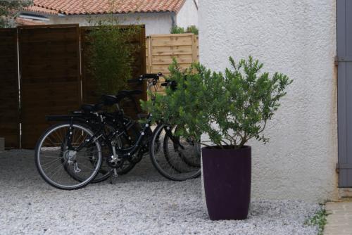 Photo 11: An accomodation located in Saint-Martin-de-Ré on ile de Ré.