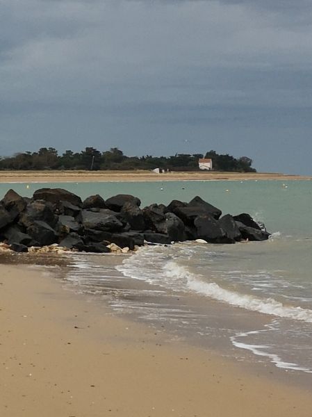 Photo 18: An accomodation located in Les Portes-en-Ré on ile de Ré.