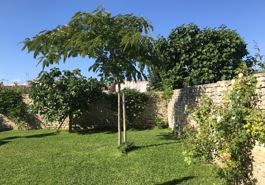 Photo 4: An accomodation located in Ars en Ré on ile de Ré.