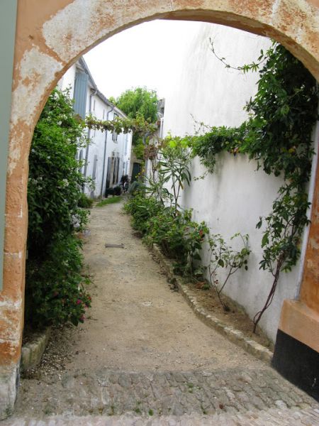 Photo 17: An accomodation located in Les Portes-en-Ré on ile de Ré.