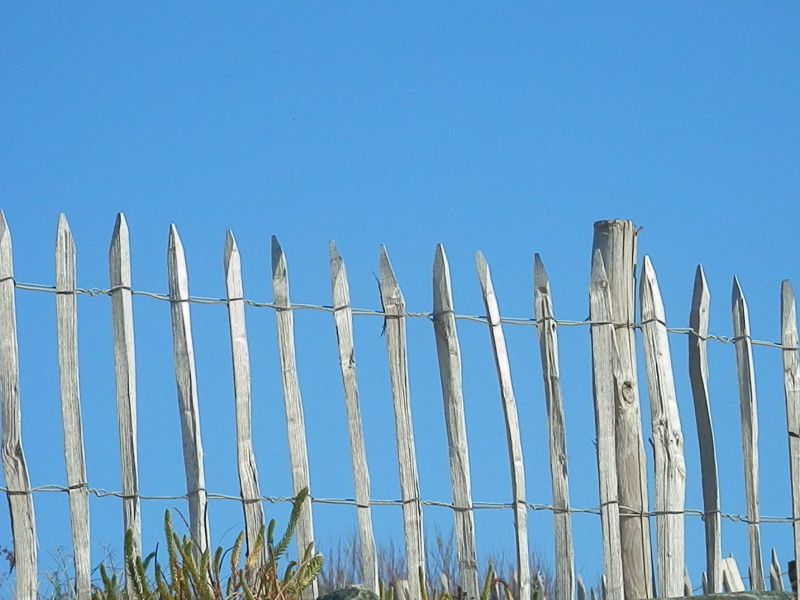 Photo 34: An accomodation located in La Couarde-sur-mer on ile de Ré.