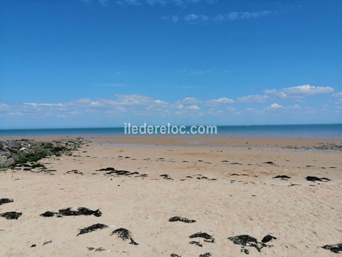 Photo 21: An accomodation located in Saint-Martin-de-Ré on ile de Ré.