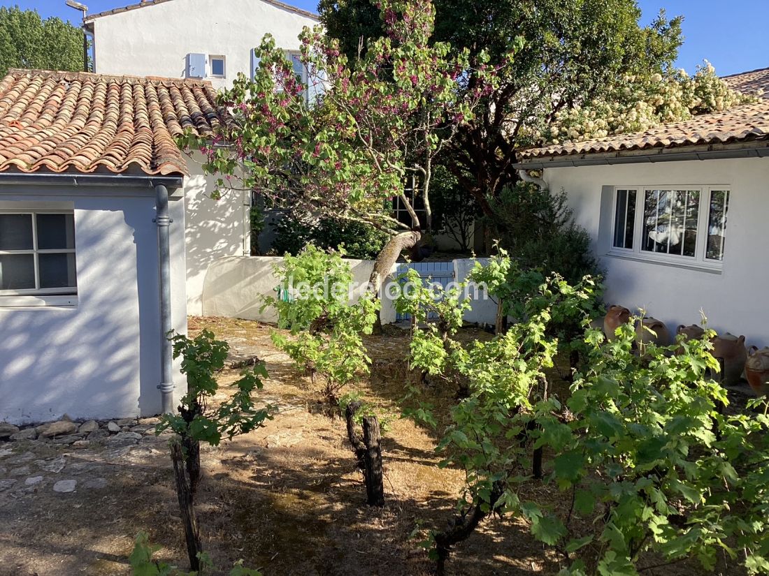 Photo 6: An accomodation located in Les Portes-en-R&eacute; on ile de R&eacute;.