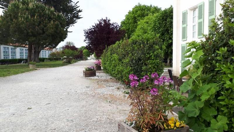 Photo 27: An accomodation located in Saint-Martin-de-Ré on ile de Ré.