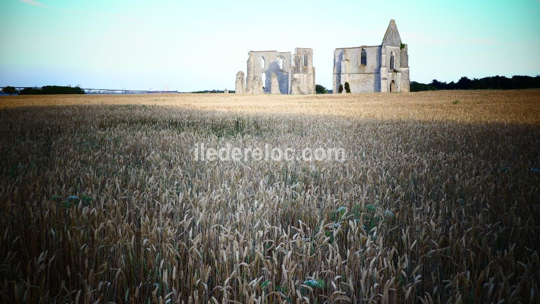 Photo 18: An accomodation located in La Flotte-en-Ré on ile de Ré.