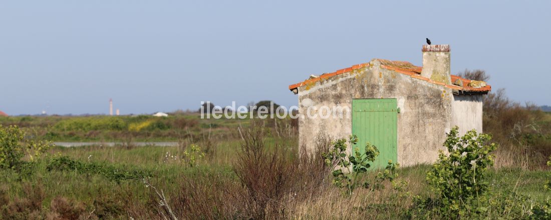 Photo 29: An accomodation located in La Couarde-sur-mer on ile de Ré.