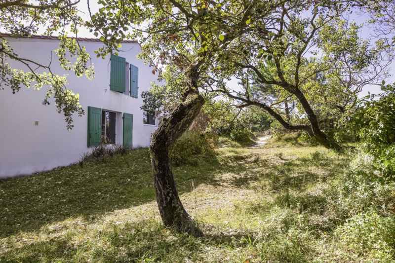 Photo 5: An accomodation located in Le Bois-Plage-en-Ré on ile de Ré.