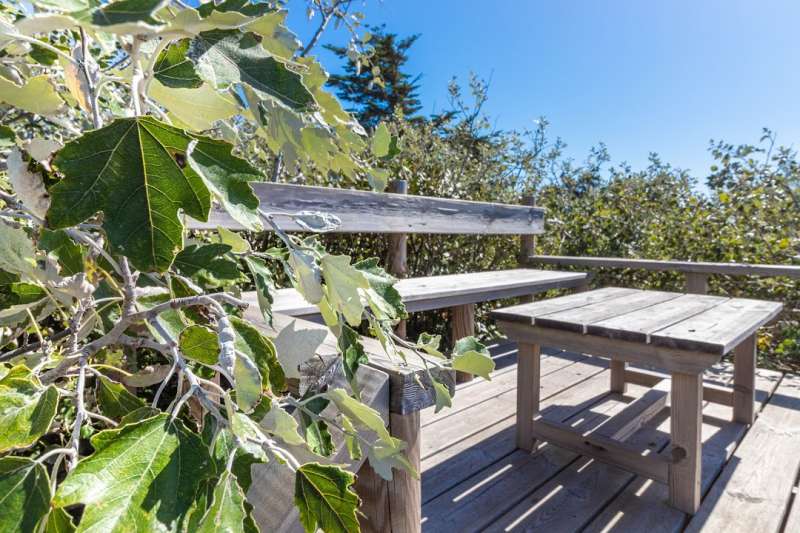 Photo 10: An accomodation located in Le Bois-Plage-en-Ré on ile de Ré.