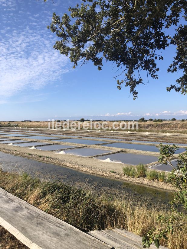 Photo 31: An accomodation located in La Couarde-sur-mer on ile de R&eacute;.