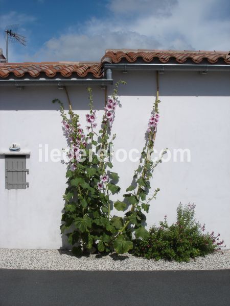 Photo 11: An accomodation located in Rivedoux-Plage on ile de Ré.