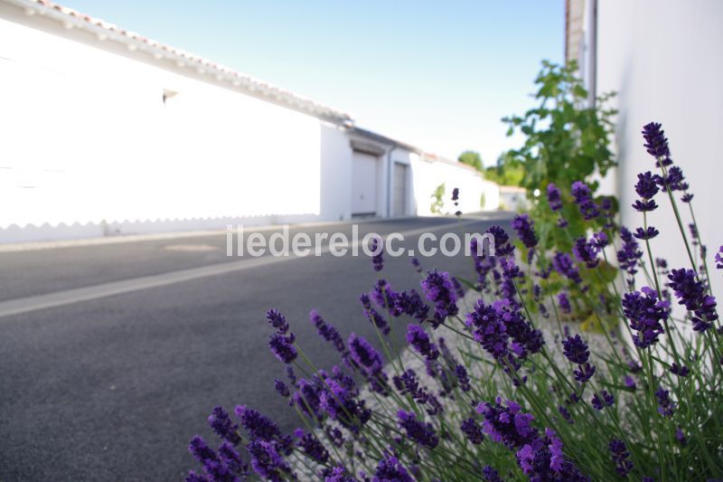 Photo 9: An accomodation located in Rivedoux-Plage on ile de Ré.