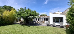 Ile de Ré:The acacias