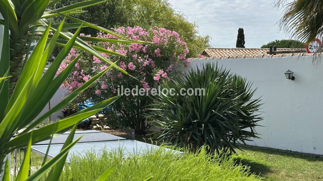 Photo 10: An accomodation located in La Couarde-sur-mer on ile de Ré.