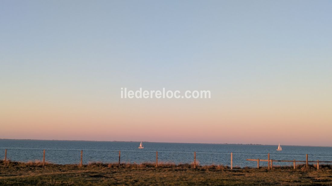 Photo 31: An accomodation located in La Flotte-en-R&eacute; on ile de R&eacute;.