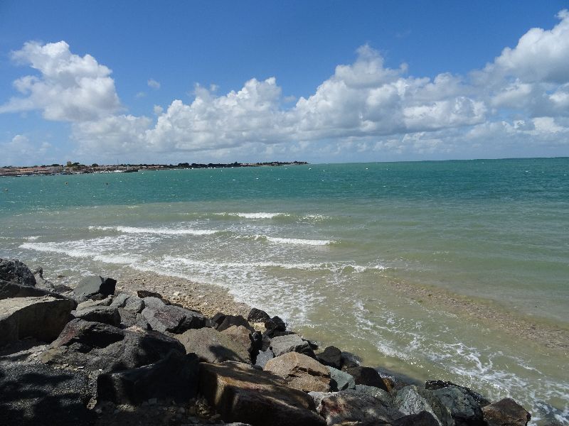 Photo 17: An accomodation located in Sainte-Marie-de-Ré on ile de Ré.