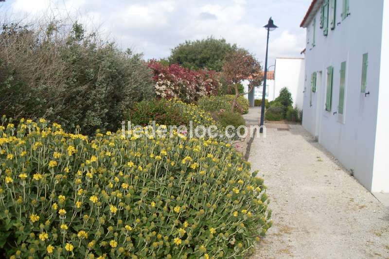 Photo 6: An accomodation located in Ars en Ré on ile de Ré.