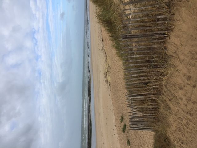 Photo 30: An accomodation located in Le Bois-Plage-en-Ré on ile de Ré.