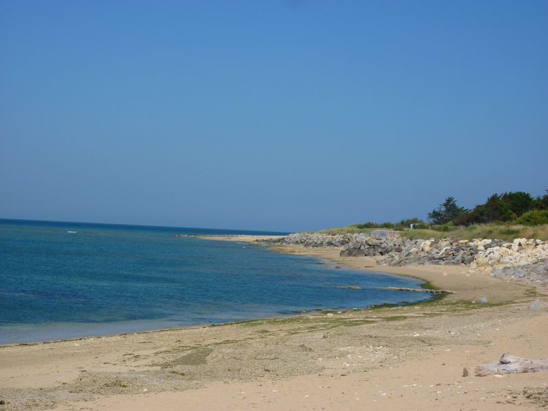 Photo 11: An accomodation located in Ars en Ré on ile de Ré.