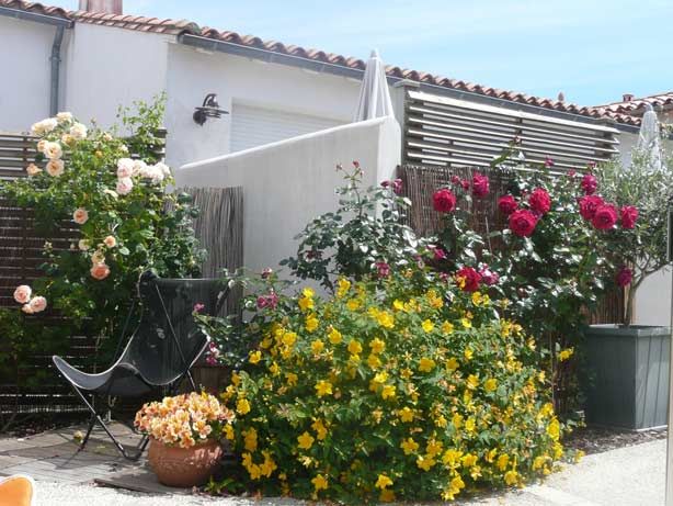 Photo 14: An accomodation located in La Flotte-en-Ré on ile de Ré.