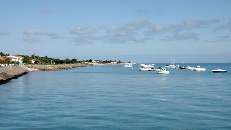 Photo 23: An accomodation located in La Flotte-en-Ré on ile de Ré.