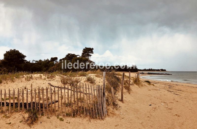 Photo 33: An accomodation located in La Flotte-en-Ré on ile de Ré.