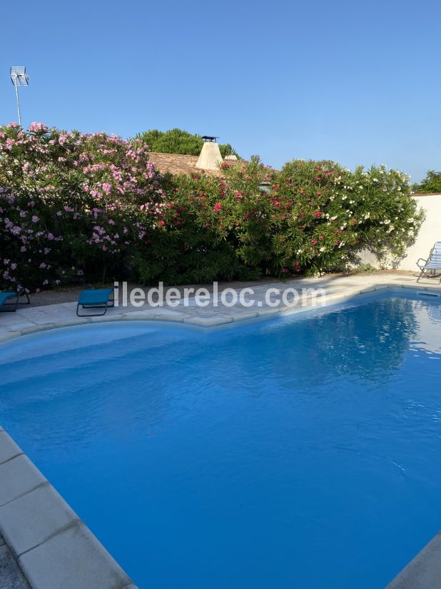 Photo 4: An accomodation located in La Flotte-en-Ré on ile de Ré.