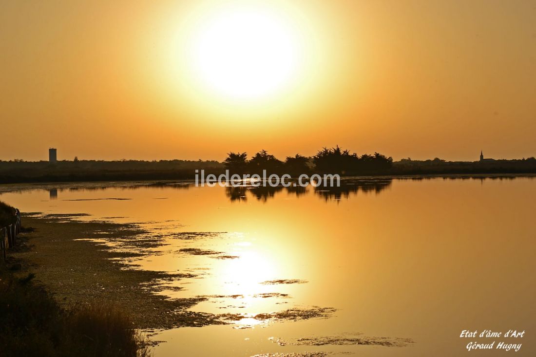 Photo 41: An accomodation located in Le Bois-Plage-en-Ré on ile de Ré.