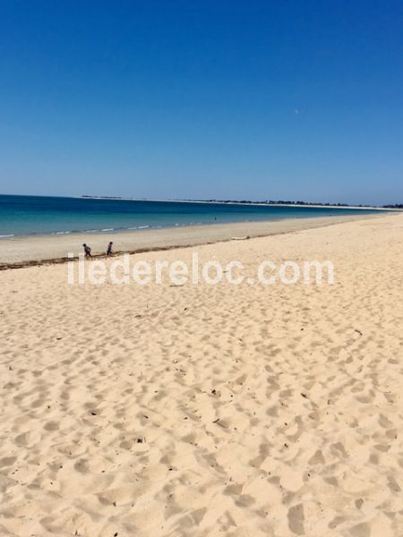 Photo 20: An accomodation located in La Couarde-sur-mer on ile de Ré.