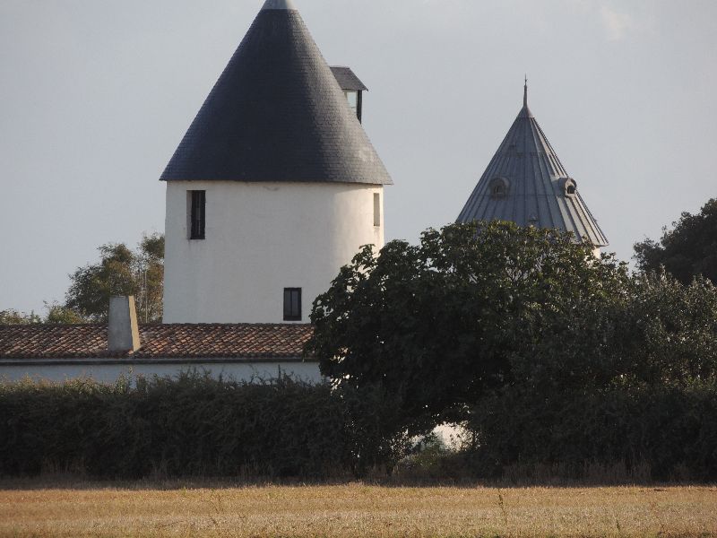 Photo 17: An accomodation located in Ars en Ré on ile de Ré.