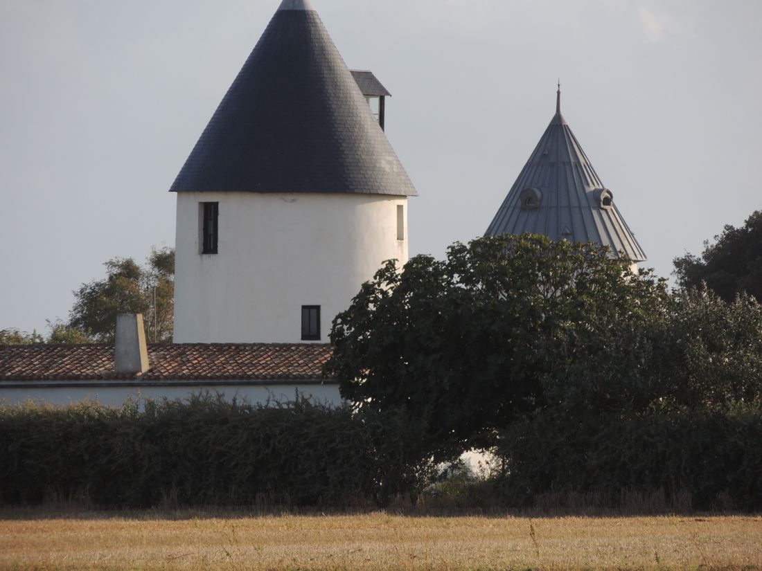 Photo 18: An accomodation located in Ars en Ré on ile de Ré.