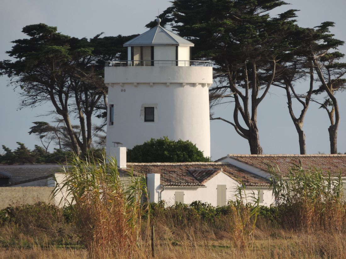 Photo 19: An accomodation located in Ars en Ré on ile de Ré.