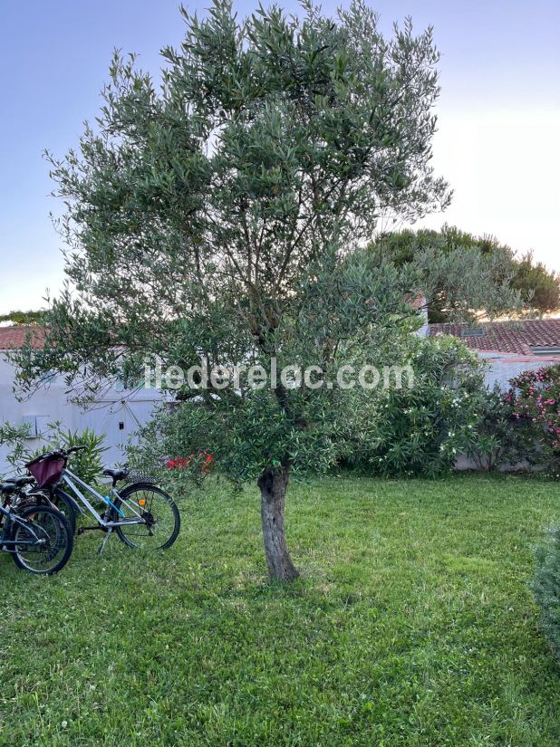 Photo 21: An accomodation located in Les Portes-en-Ré on ile de Ré.