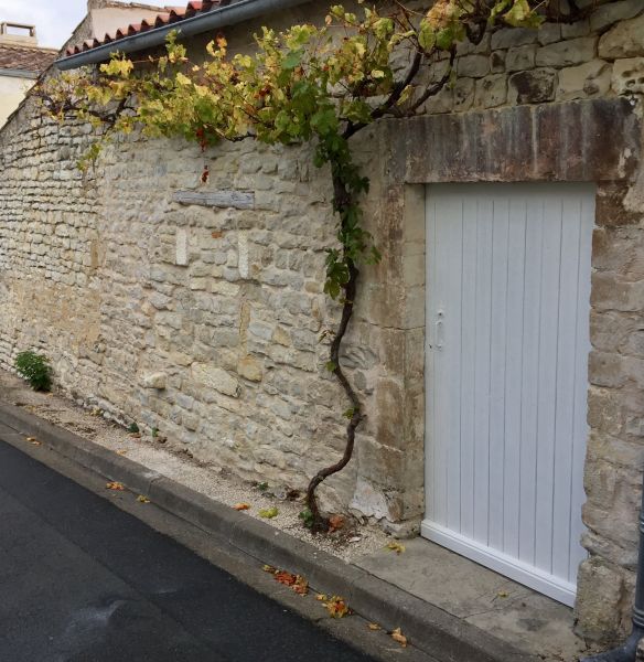 Photo 12: An accomodation located in La Flotte-en-Ré on ile de Ré.