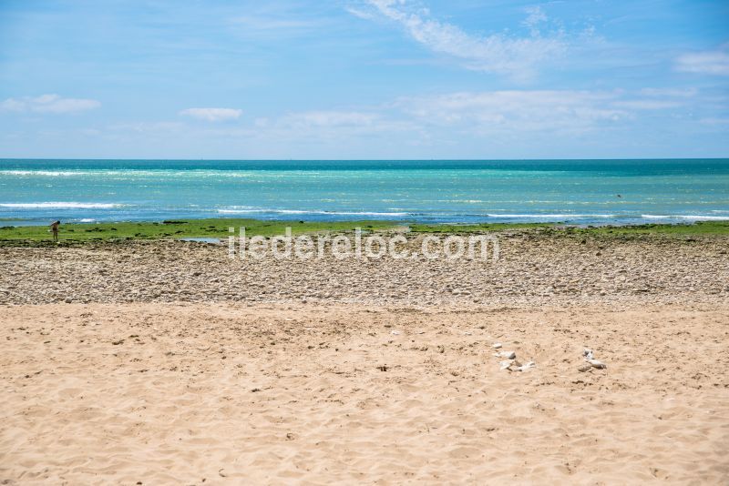 Photo 17: An accomodation located in Sainte-Marie-de-Ré on ile de Ré.