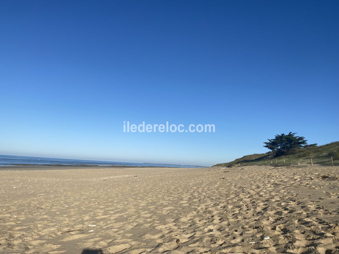 Photo 47: An accomodation located in Le Bois-Plage-en-Ré on ile de Ré.