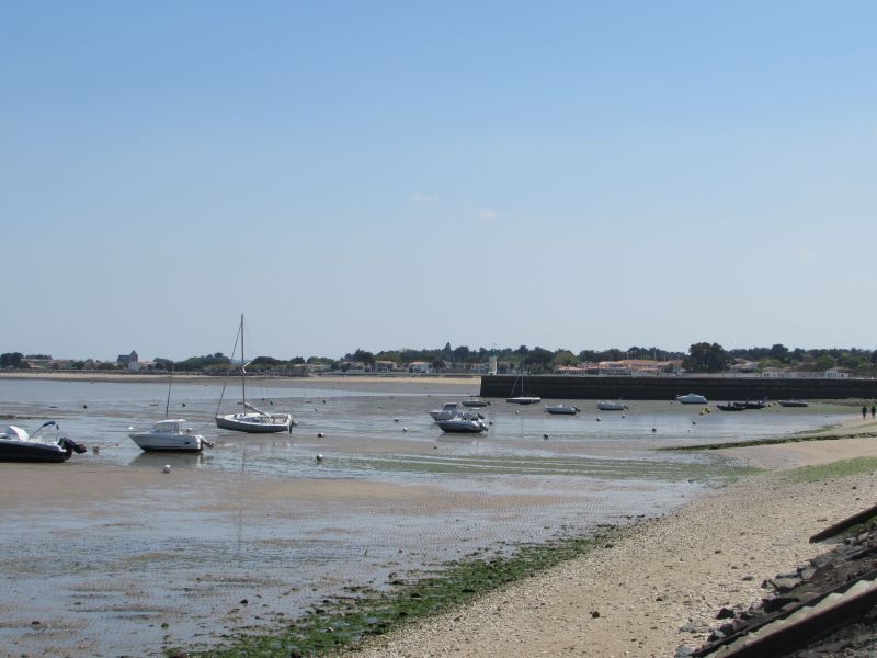 Photo 28: An accomodation located in La Flotte-en-Ré on ile de Ré.