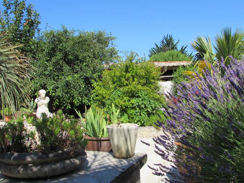 Photo 5: An accomodation located in La Flotte-en-Ré on ile de Ré.