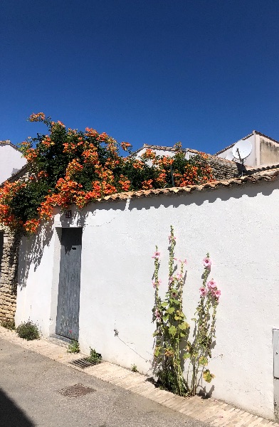 Photo 9: An accomodation located in Les Portes-en-Ré on ile de Ré.