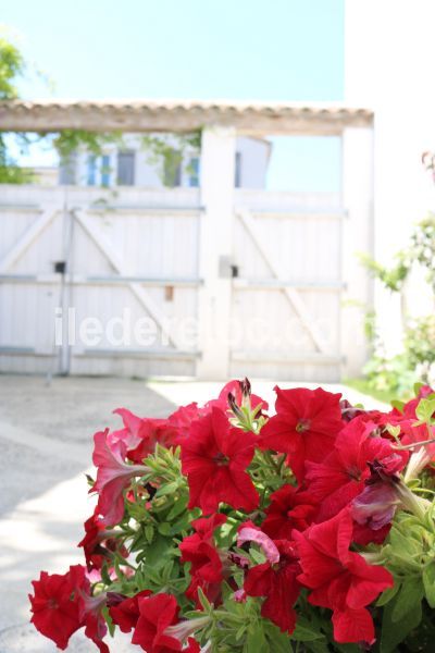 Photo 24: An accomodation located in La Couarde-sur-mer on ile de Ré.