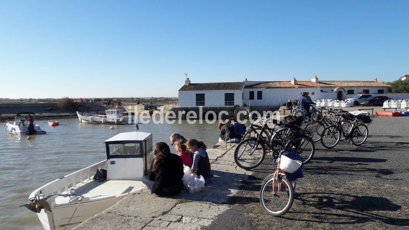 Photo 16: An accomodation located in Loix on ile de Ré.