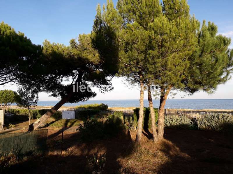 Photo 12: An accomodation located in Les Portes-en-Ré on ile de Ré.