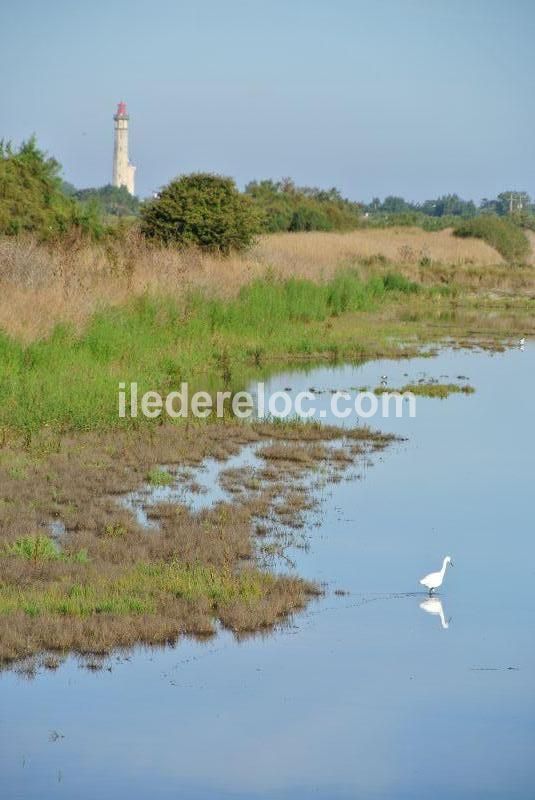 Photo 9: An accomodation located in Saint-Clément-des-Baleines on ile de Ré.